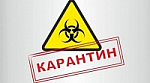 УШЛИ НА САМОИЗОЛЯЦИЮ