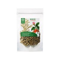 Фукус с куркумой в капсулах «Вкусный Сахалин» 120 шт. от ООО «БиоТорг» в интернет-магазине «Зеленщик»