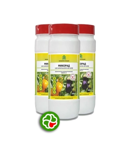 Микорад INSEKTO 1.3 БАК с грибом Lecanicillium lecanii, 500 гр., (3 шт. ) от производителя ООО «Биофабрика Кольцово» купить в интернет-магазине «Зеленщик».