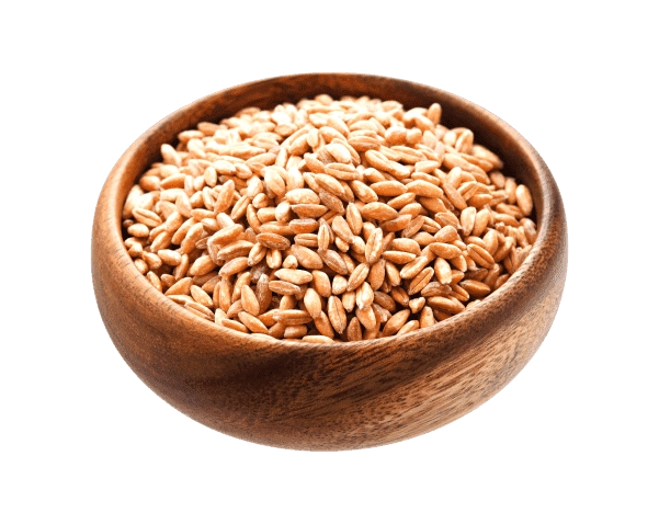 Продукты из полбы