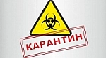 УШЛИ НА САМОИЗОЛЯЦИЮ