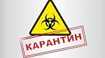 РЕЖИМ РАБОТЫ ВО ВРЕМЯ КАРАНТИНА 