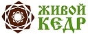 Живой кедр