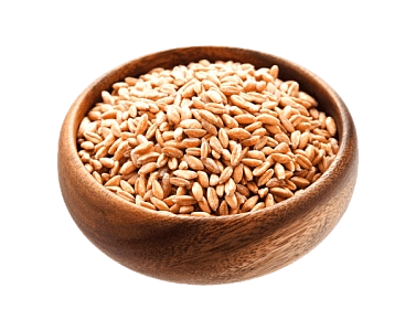 Продукты из полбы